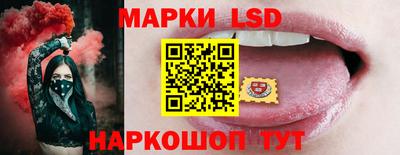 apvp Пугачёв