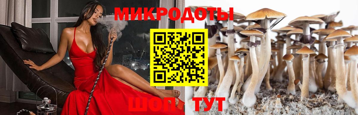Галлюциногенные грибы Magic Shrooms  Вход с VPN  Губкинский 